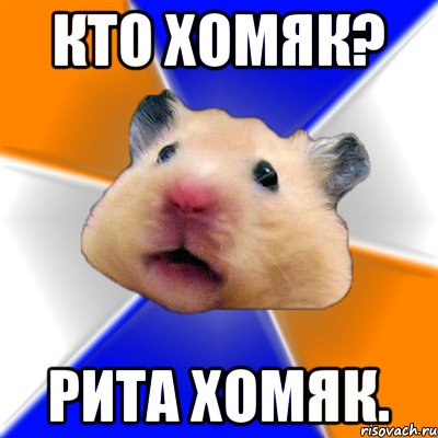 кто хомяк? Рита хомяк., Мем Хомяк