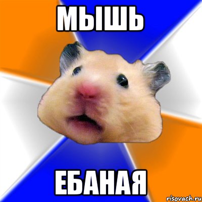 Мышь ебаная, Мем Хомяк