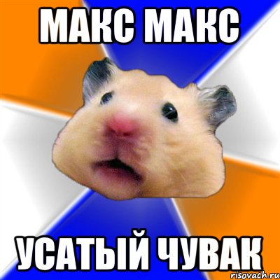 МАКС МАКС УСАТЫЙ ЧУВАК, Мем Хомяк