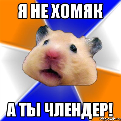 Я не хомяк А ты Члендер!, Мем Хомяк