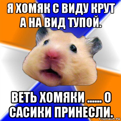 я хомяк с виду крут а на вид тупой. веть хомяки ...... о сасики принесли., Мем Хомяк