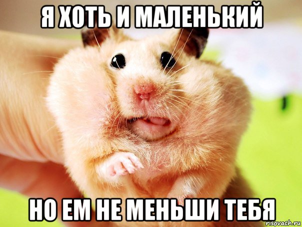 я хоть и маленький но ем не меньши тебя