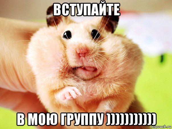 вступайте в мою группу )))))))))))