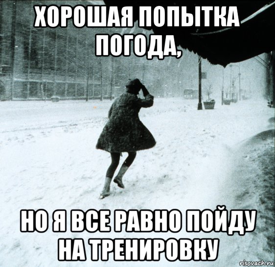 Хорошо что дождь пошел Хорошо что дождь пошел