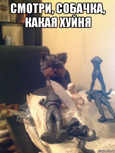 смотри, собачка, какая хуйня , Мем Хуйня