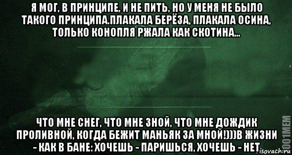 я мог, в принципе, и не пить, но у меня не было такого принципа.плакала берёза, плакала осина, только конопля ржала как скотина... что мне снег, что мне зной, что мне дождик проливной, когда бежит маньяк за мной!)))в жизни - как в бане: хочешь - паришься, хочешь - нет