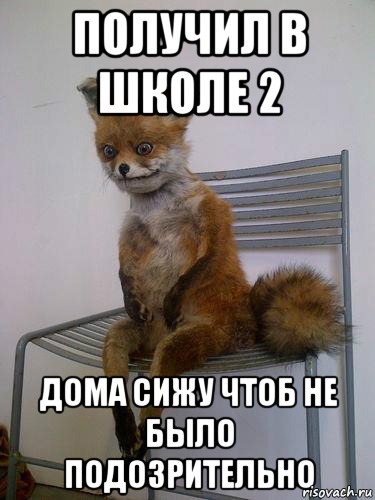 получил в школе 2 дома сижу чтоб не было подозрительно, Мем Упоротая лиса