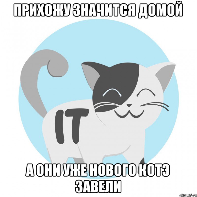 Прихожу значится домой А они уже нового котэ завели