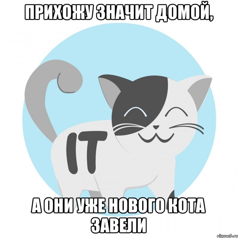 прихожу значит домой, а они уже нового кота завели