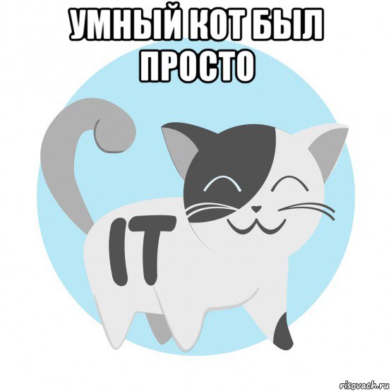 умный кот был просто 