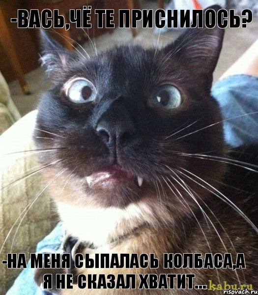 -Вась,чё те приснилось? -На меня сыпалась колбаса,а я не сказал хватит…, Комикс как так