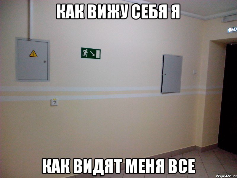 как вижу себя я как видят меня все, Мем Как вижу я и как видят другие
