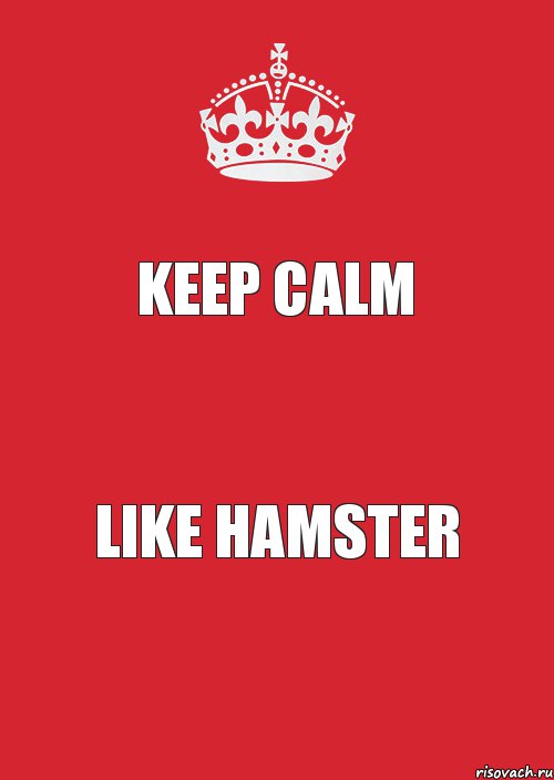 KEEP CALM LIKE HAMSTER, Комикс Keep Calm 3