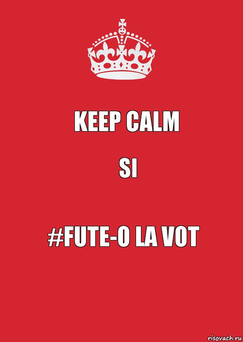 KEEP CALM SI #Fute-o la Vot, Комикс Keep Calm 3