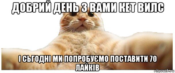 добрий день з вами кет вилс і сьгодні ми попробуємо поставити 70 лайків, Мем   Кэтсвилл