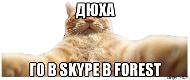 дюха го в skype в forest, Мем   Кэтсвилл