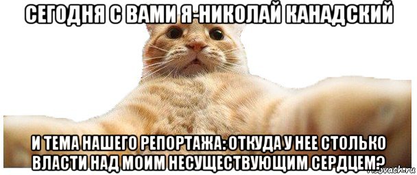 сегодня с вами я-николай канадский и тема нашего репортажа: откуда у нее столько власти над моим несуществующим сердцем?, Мем   Кэтсвилл