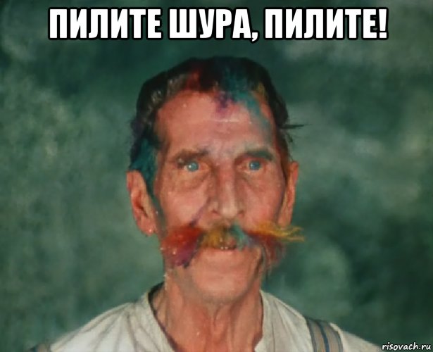пилите шура, пилите! , Мем киса