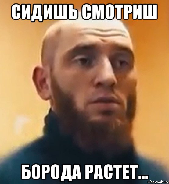 сидишь смотриш борода растет...