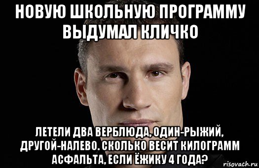 новую школьную программу выдумал кличко летели два верблюда, один-рыжий, другой-налево. сколько весит килограмм асфальта, если ёжику 4 года?, Мем Кличко