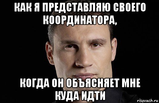 как я представляю своего координатора, когда он объясняет мне куда идти, Мем Кличко