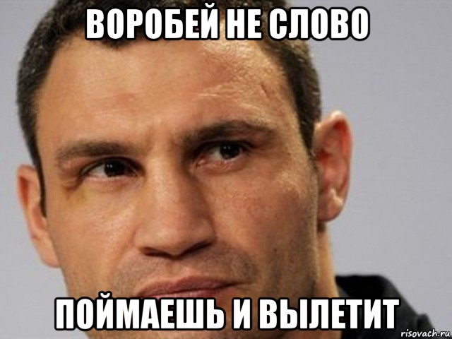 воробей не слово поймаешь и вылетит