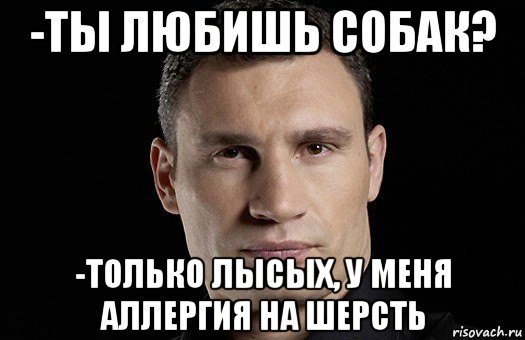 -ты любишь собак? -только лысых, у меня аллергия на шерсть, Мем Кличко