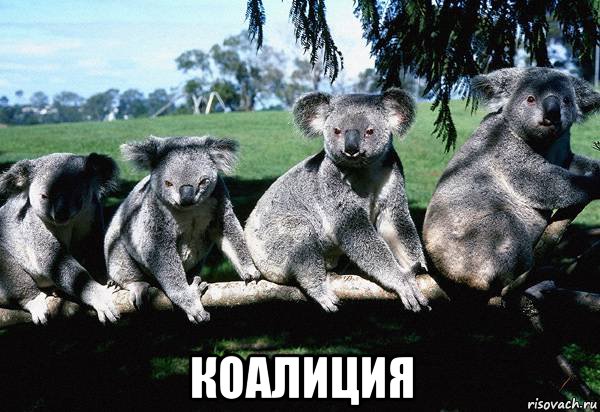  коалиция, Мем КОАЛИЦИЯ