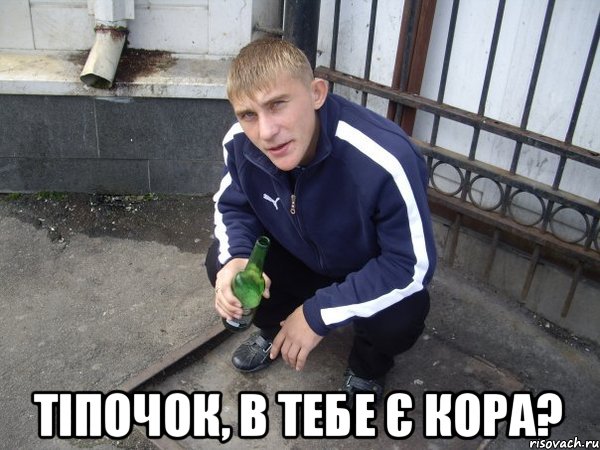  Тіпочок, в тебе є кора?