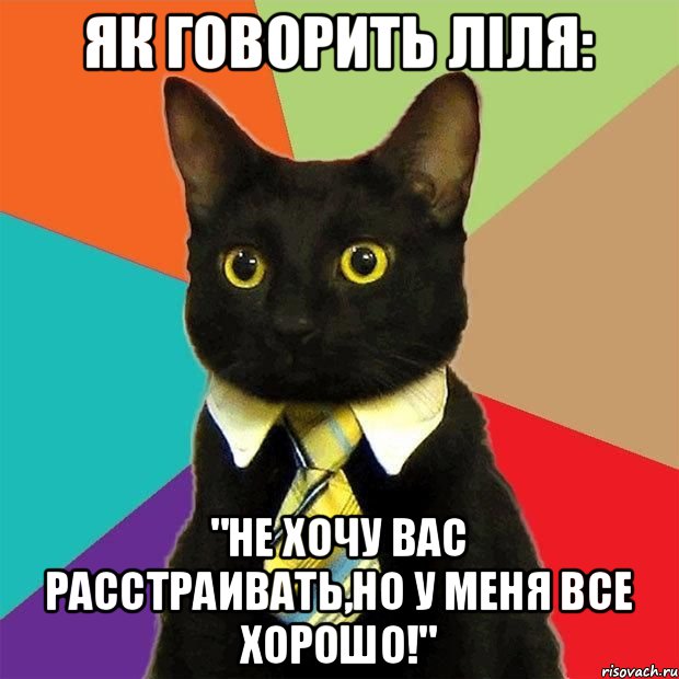 Як говорить Ліля: "Не хочу Вас расстраивать,но у меня все хорошо!", Мем  Кошечка