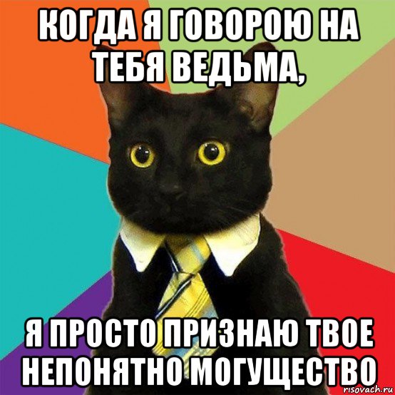 когда я говорою на тебя ведьма, я просто признаю твое непонятно могущество, Мем  Кошечка