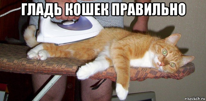 К чему снится Инжир