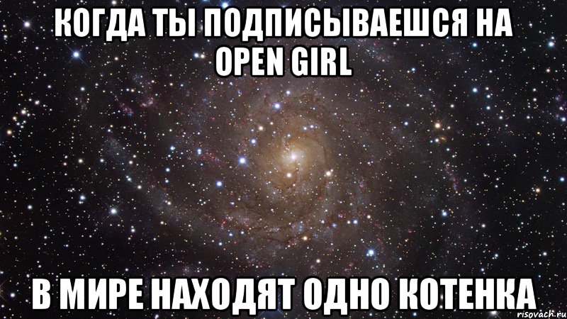 Когда ты подписываешся на Open Girl в мире находят одно котенка, Мем  Космос (офигенно)