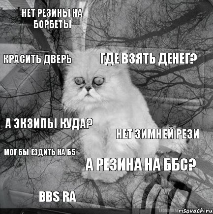 нет резины на борбеты нет зимней рези где взять денег? bbs ra а экзипы куда?  а резина на ббс? красить дверь мог бы ездить на б5 