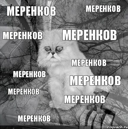 Меренков Меренков Меренков Меренков Меренков Меренков Меренков Меренков Меренков Меренков, Комикс  кот безысходность