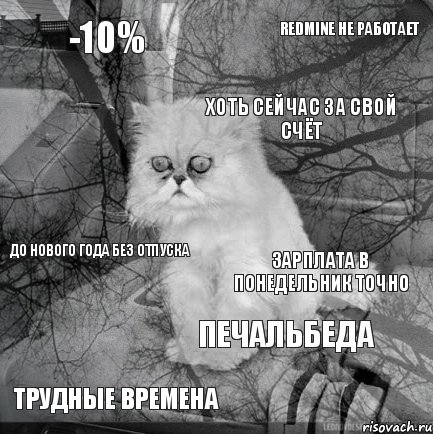 -10% зарплата в понедельник точно хоть сейчас за свой счёт трудные времена до Нового Года без отпуска Redmine не работает Печальбеда   , Комикс  кот безысходность