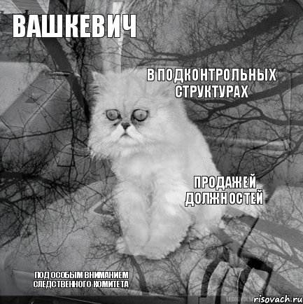 Вашкевич продажей должностей в подконтрольных структурах под особым вниманием следственного комитета      , Комикс  кот безысходность