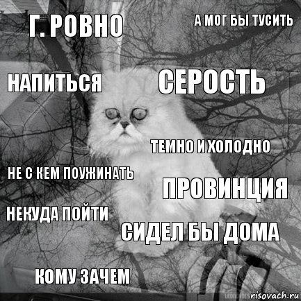 г. ровно провинция серость кому зачем не с кем поужинать а мог бы тусить сидел бы дома напиться некуда пойти темно и холодно, Комикс  кот безысходность