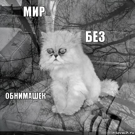 мир  без      обнимашек 