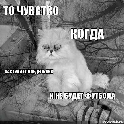 то чувство  КОГДА  НАСТУПИТ ПОНЕДЕЛЬНИК  И НЕ БУДЕТ ФУТБОЛА   , Комикс  кот безысходность