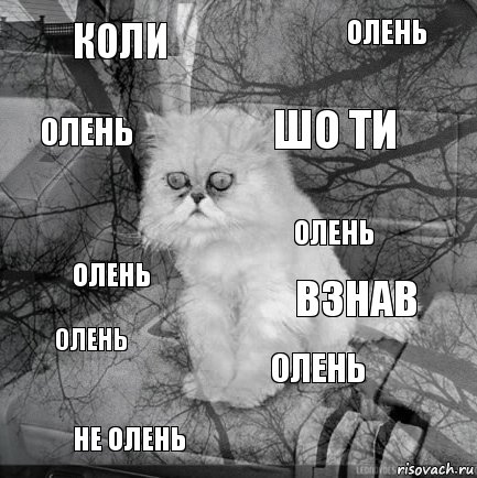 коли взнав шо ти не олень олень олень олень олень олень олень, Комикс  кот безысходность