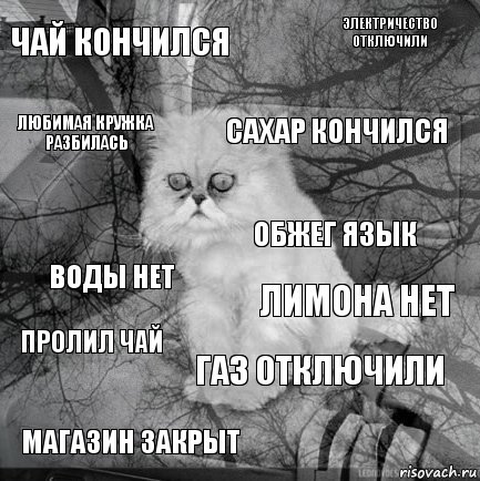чай кончился лимона нет сахар кончился магазин закрыт воды нет электричество отключили газ отключили любимая кружка разбилась пролил чай обжег язык, Комикс  кот безысходность