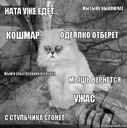 Ната уже едет... мышь вернется одеялко отберет с стульчика сгонет мыши собственники вернутся мызыку выключат ужас кошмар  , Комикс  кот безысходность