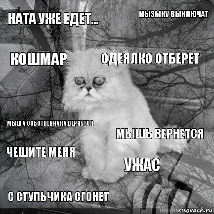 Ната уже едет... мышь вернется одеялко отберет с стульчика сгонет мыши собственники вернутся мызыку выключат ужас кошмар Чешите меня , Комикс  кот безысходность