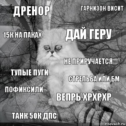 Дренор Стрельба или БМ Дай геру Танк 50к дпс Тупые пуги Гарнизон висит Вепрь хрхрхр 15к на паках Пофиксили Не приручается, Комикс  кот безысходность