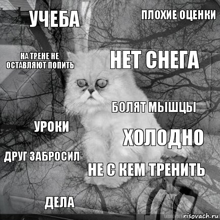 Учеба холодно нет снега дела уроки плохие оценки не с кем тренить на трене не оставляют попить друг забросил Болят мышцы, Комикс  кот безысходность