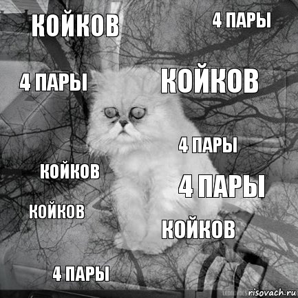 койков 4 пары койков 4 пары койков 4 пары койков 4 пары койков 4 пары, Комикс  кот безысходность