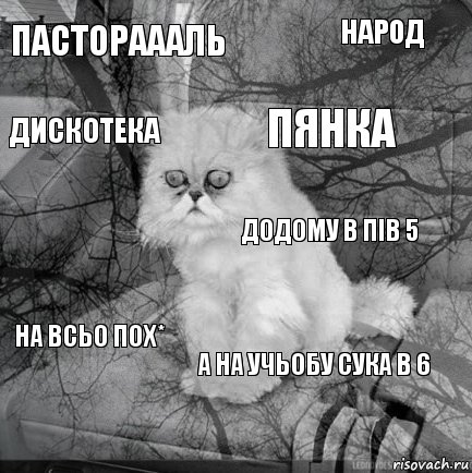 пастораааль  Пянка   народ А НА УЧЬОБУ СУКА В 6 Дискотека на всьо пох* Додому в пів 5, Комикс  кот безысходность