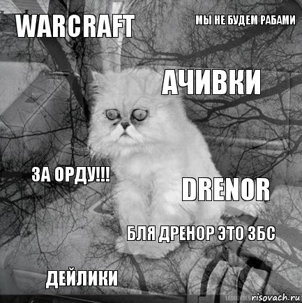 warcraft drenor ачивки дейлики ЗА ОРДУ!!! мы не будем рабами бля дренор это збс   , Комикс  кот безысходность