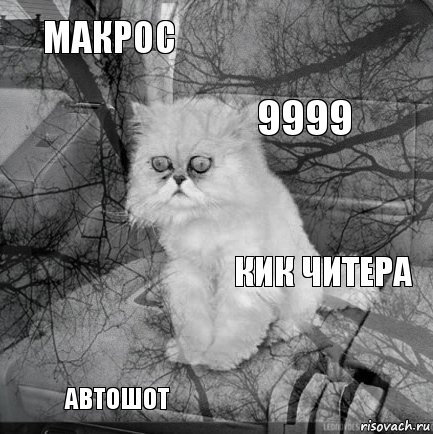 макрос кик читера 9999 автошот      , Комикс  кот безысходность